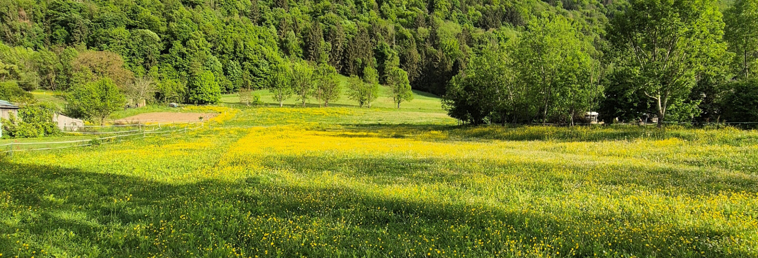 Terrain  1659 m² à vendre à Saint-Pierre-de-Soucy (73800)