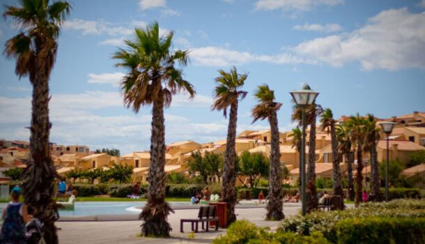 Appartement 3 pièces  à louer Leucate 11370