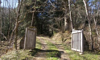 Photo N° 4