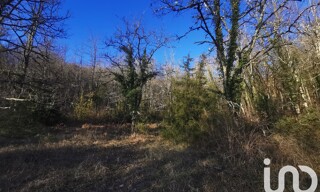 Photo N° 4