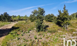 Photo N° 6