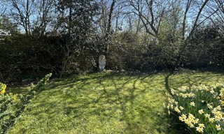 Photo N° 4