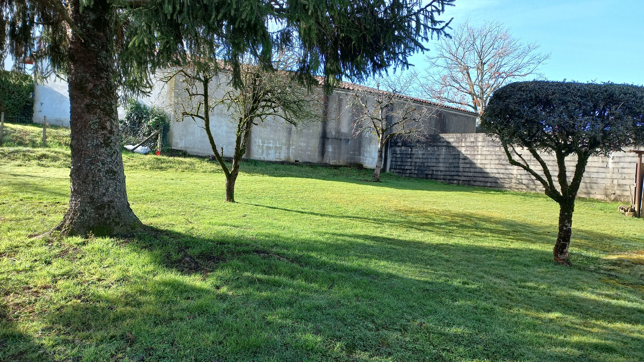 Terrain  à vendre Saint-Palais 64120