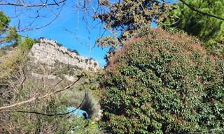 Photo N° 2