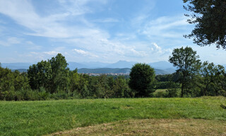 Photo N° 7