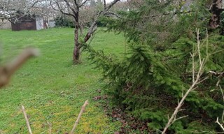 Terrain  500 m² à vendre à Semussac (17120)