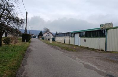 vente local industriel 350 000 € à proximité de Vosges (88)