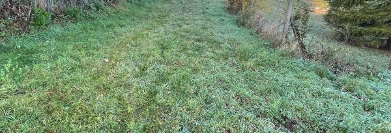 Terrain  4386 m² à vendre à Puylaurens (81700)