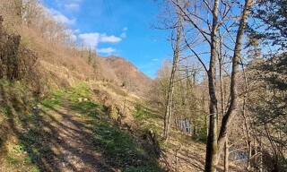 Photo N° 3