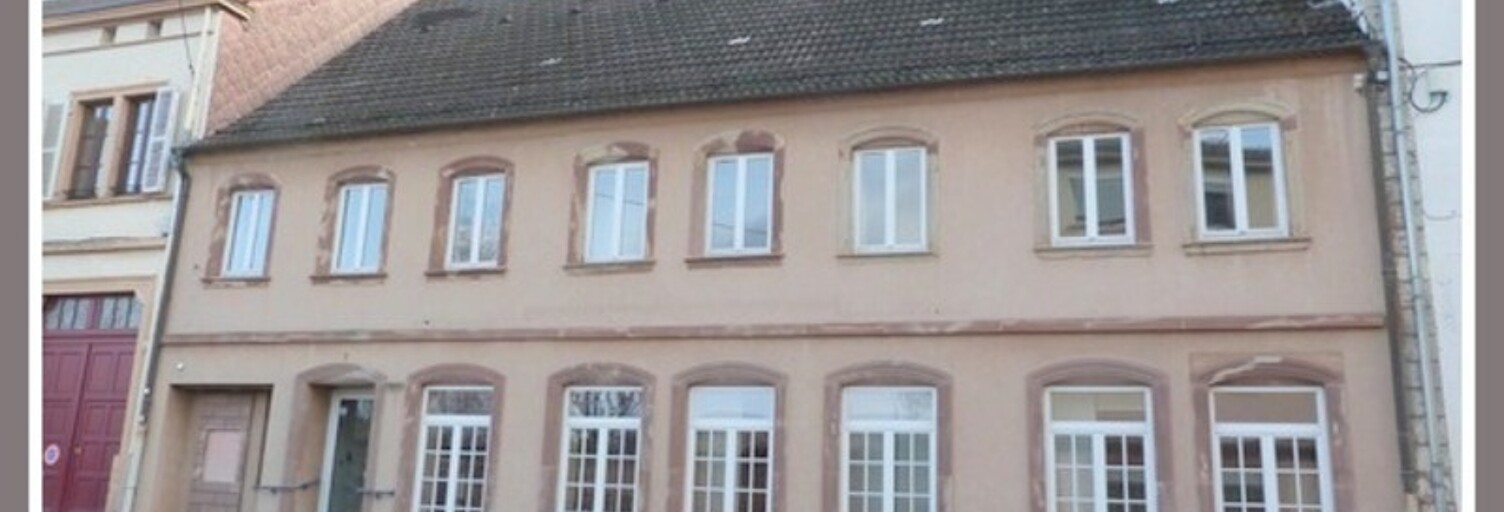 Immeuble  507 m² à vendre à Bitche (57230)