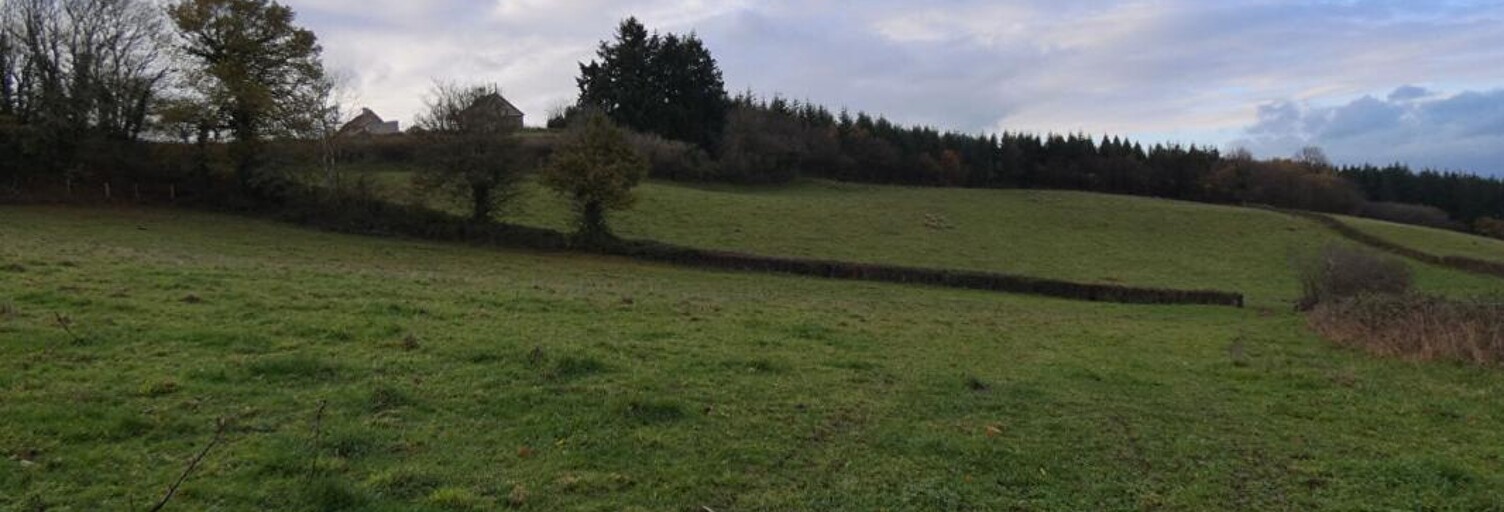 Terrain  5630 m² à vendre à Le Rousset-Marizy (71220)