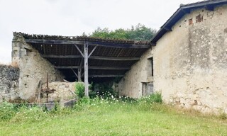 Photo N° 3