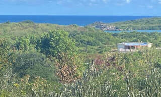 Terrain  1835 m² à vendre à Sainte-Anne (97227)