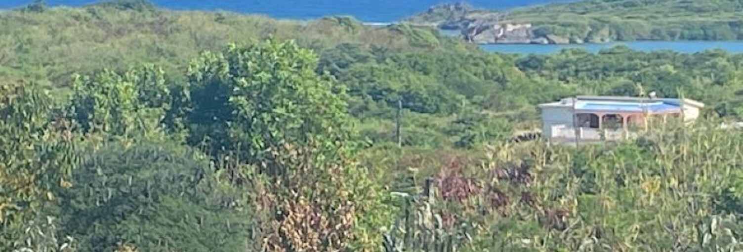 Terrain  1835 m² à vendre à Sainte-Anne (97227)