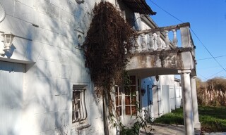Photo N° 19