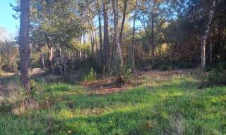 Terrain  3658 m² à vendre à Saint-Sauveur (33250)