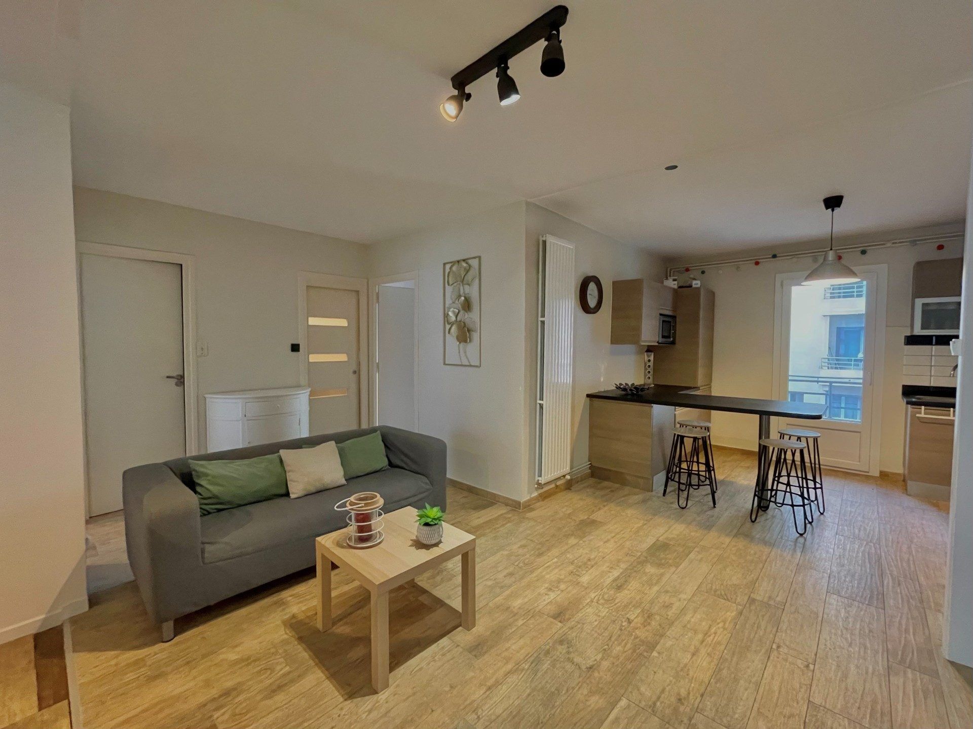 Appartement 3 pièces  à vendre Grenoble 38100