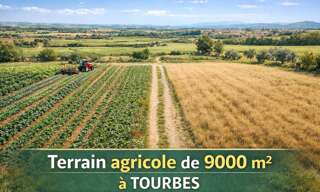 Terrain  9000 m² à vendre à Tourbes (34120)