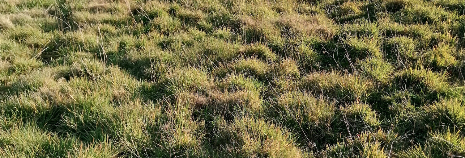 Terrain  839 m² à vendre à Coëx (85220)