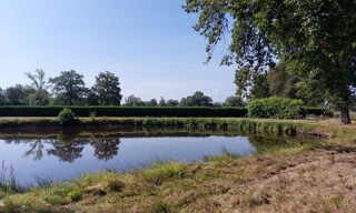Photo N° 5