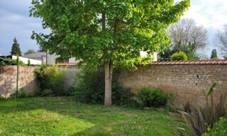 Photo N° 5