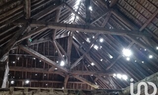 Photo N° 4