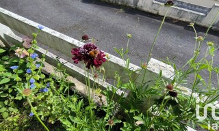 Photo N° 6