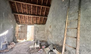 Photo N° 6