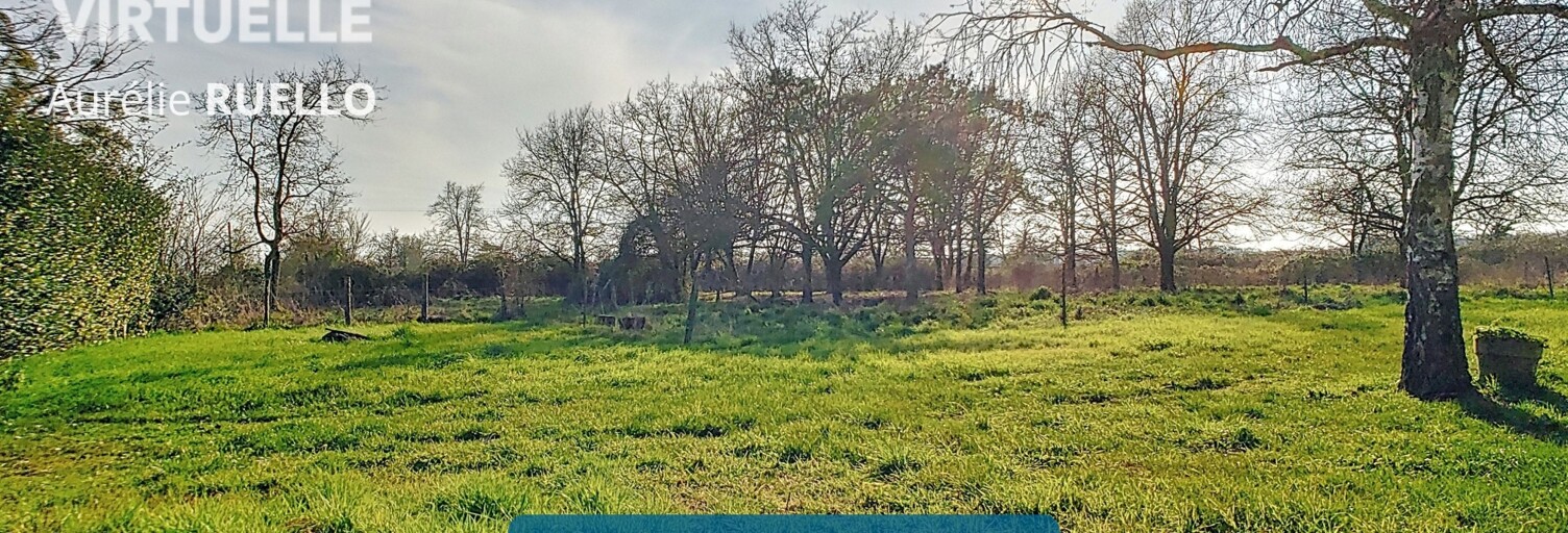 Maison 9 Pièces 244 m² à vendre à Hommes (37340)