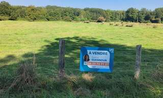 Terrain  3268 m² à vendre à Soumaintrain (89570)