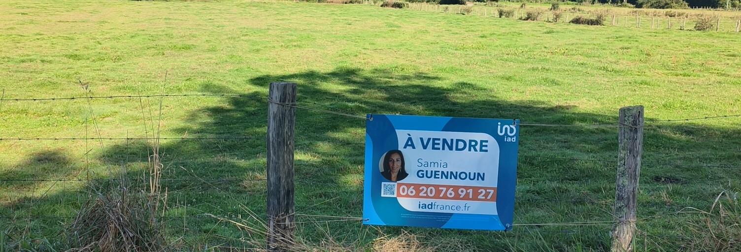 Terrain  3268 m² à vendre à Soumaintrain (89570)