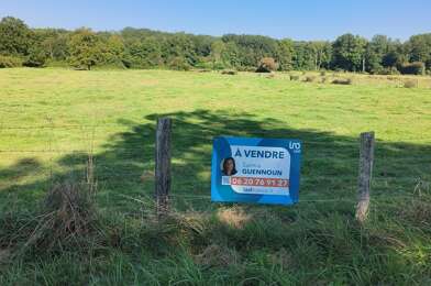 Terrain  20000 €