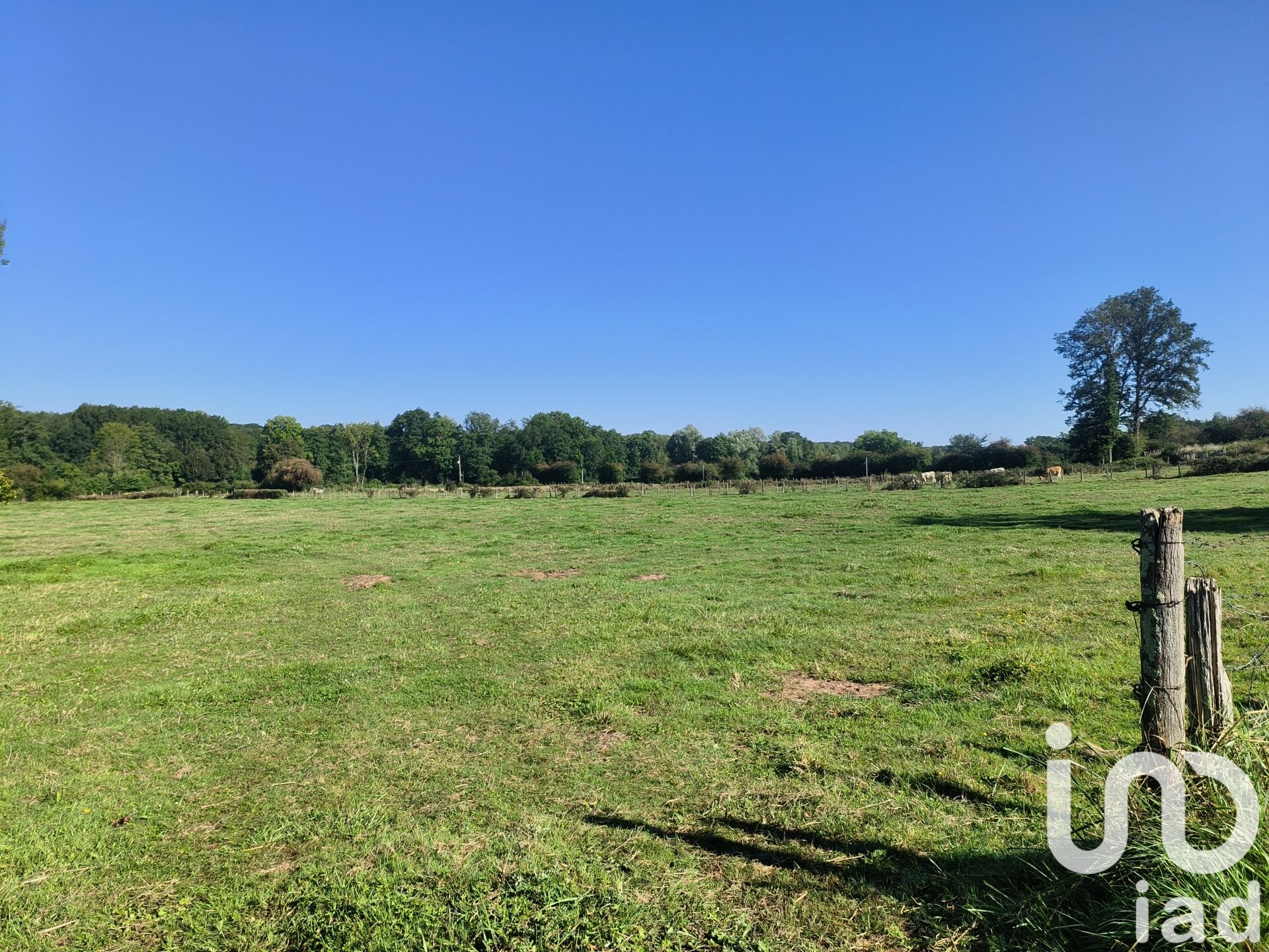 Soumaintrain - 3263m²