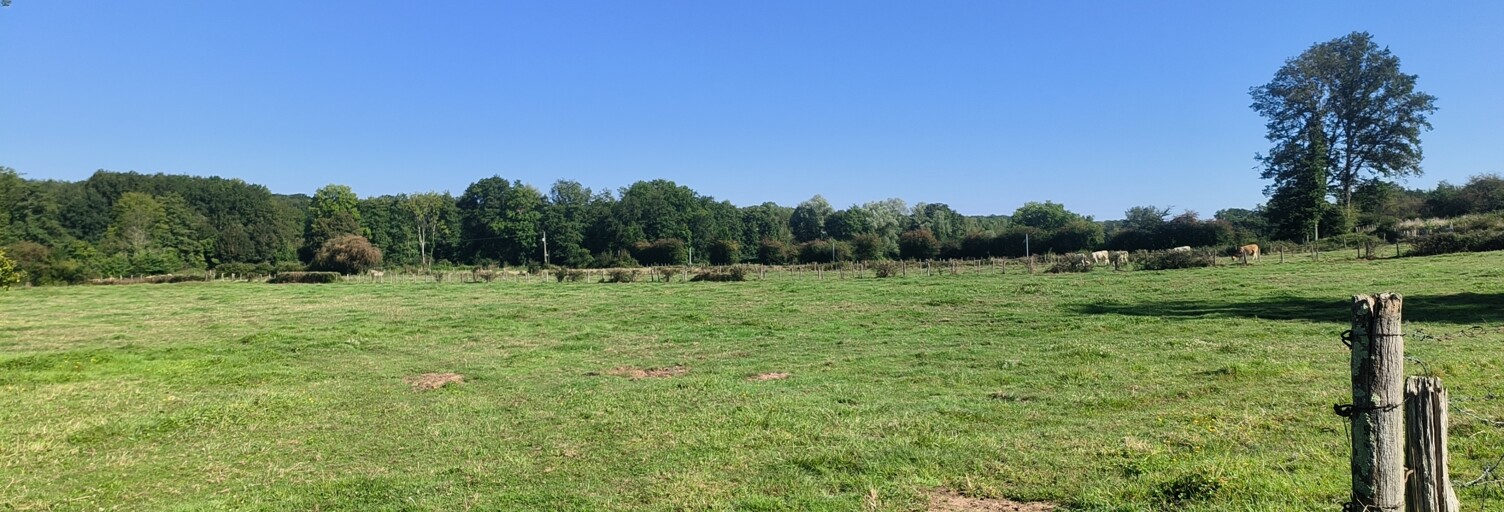 Terrain  3263 m² à vendre à Soumaintrain (89570)