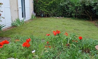 Photo N° 3