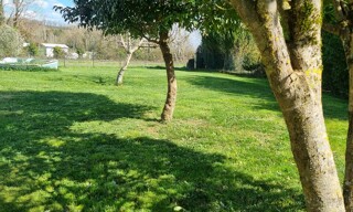 Photo N° 15