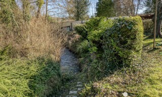 Photo N° 4