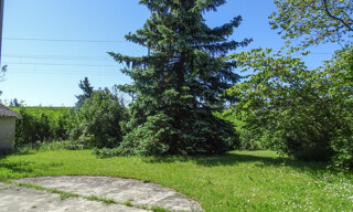 Photo N° 4