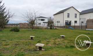 Photo N° 6
