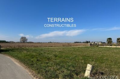 vente terrain 129 600 € à proximité de Ouzouer-sur-Loire (45570)