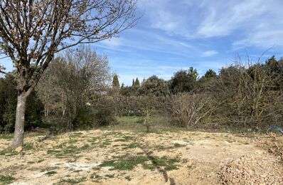 terrain 465 m2 à construire à Le Puy-Sainte-Réparade (13610)