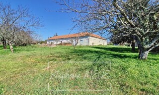 Photo N° 4