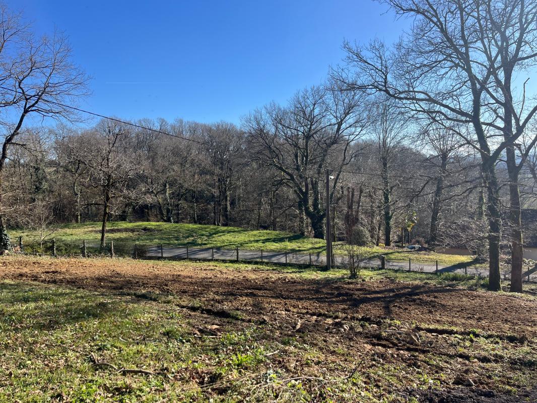 Terrain  à vendre Andoins 64420