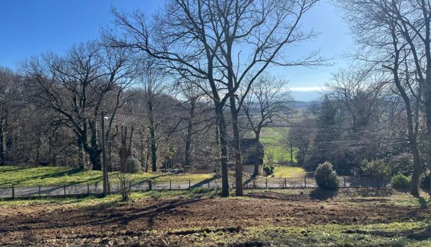 Terrain  à vendre Andoins 64420