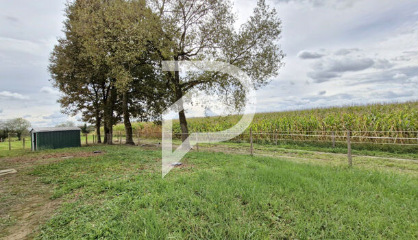 Villa / Maison 3 pièces  à vendre Pomarez 40360