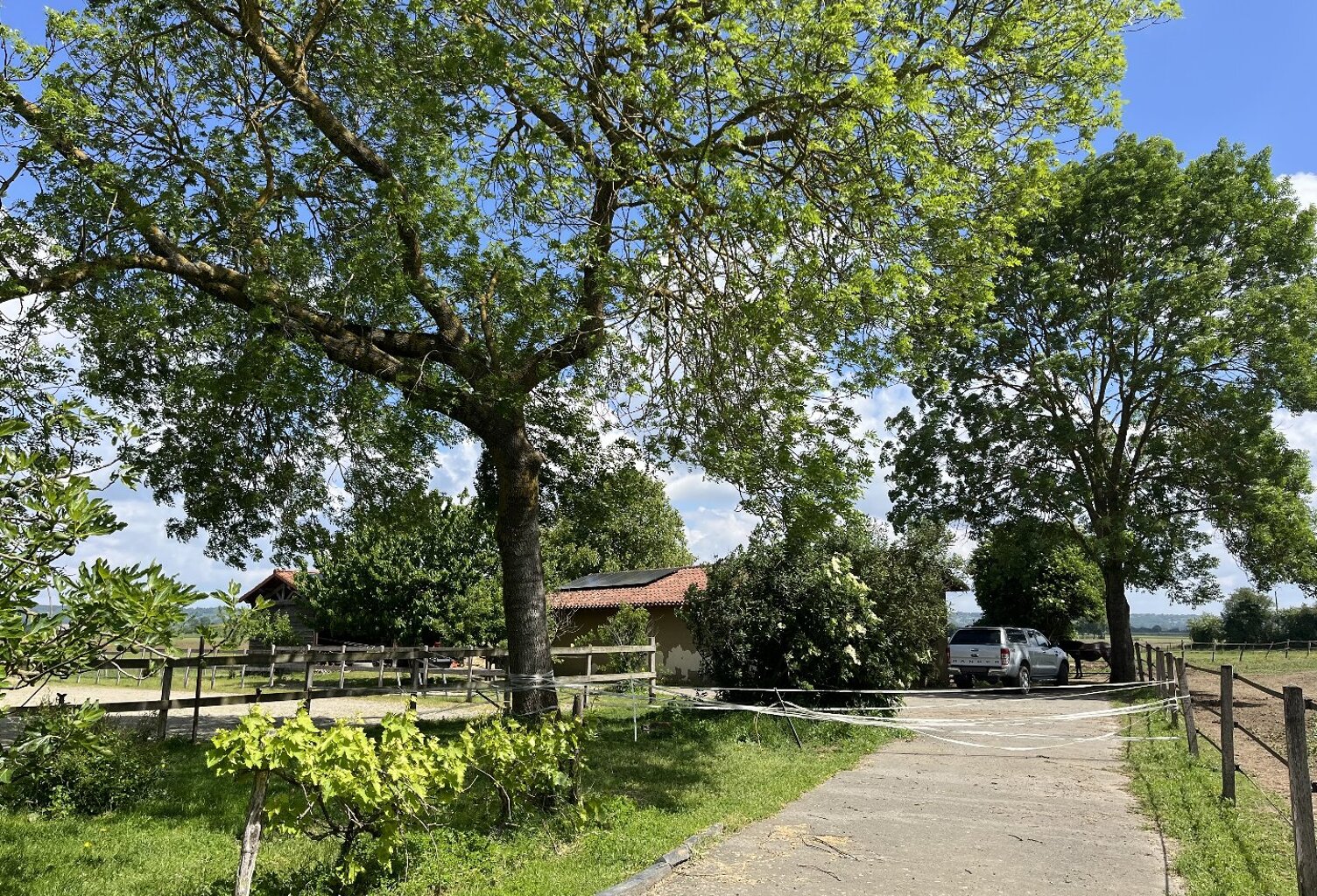 Propriété — photo 1