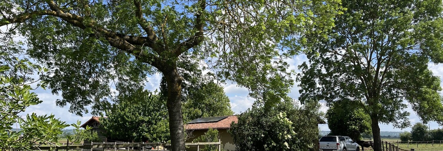 Maison 7 Pièces 228 m² à vendre à Martres-de-Rivière (31210)