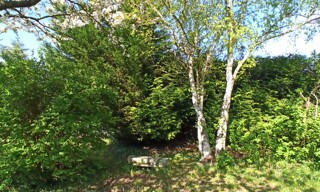 Photo N° 4