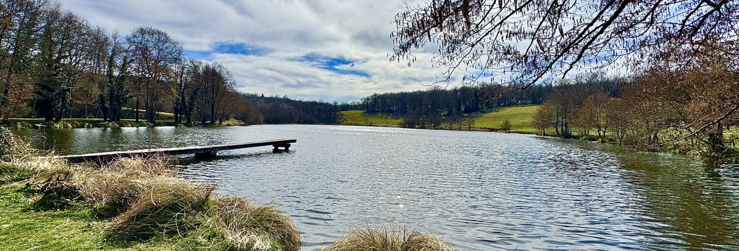 Maison 8 Pièces 169 m² à vendre à Château-Chervix (87380)