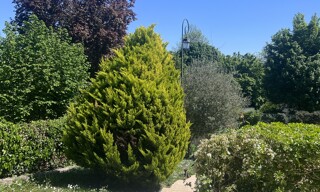 Photo N° 3